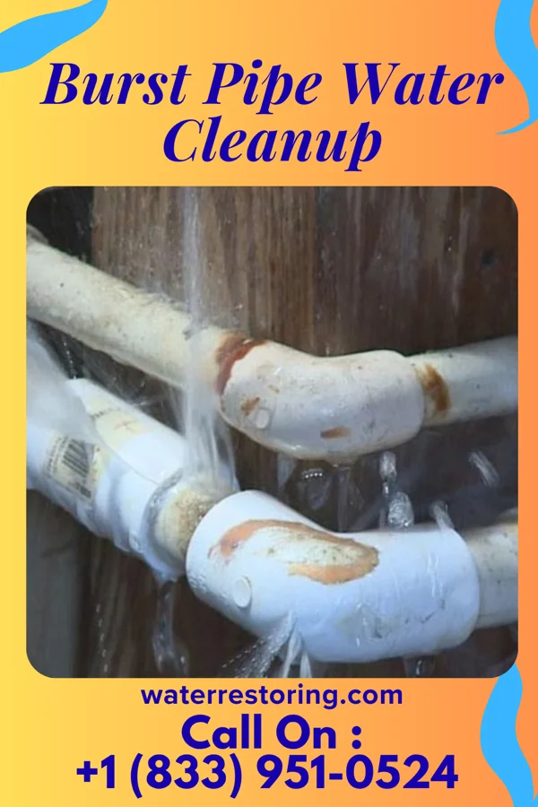 Burst Pipe Water Cleanup in Joice, IA
