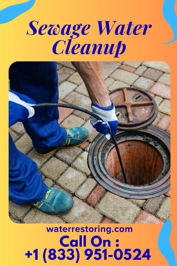 Sewage Water Cleanup in Joice, IA